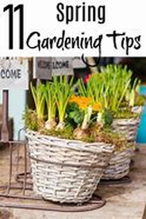 Tips for Scrapbooking
