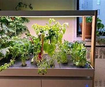 Organizing your Pantry Closet