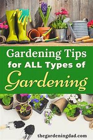 LOOKING FOR A FEW CHOICE GARDENING MAGAZINES