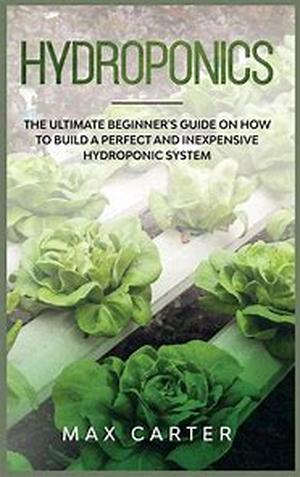 Hunter Humidifier Filter Types and Maintenance