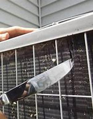 Control Pests From Breaking Into Your Gardens And Spoil Your Gardening Spirit