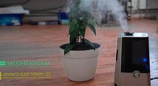 Air Purifiers For Pure Breathing
