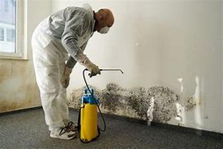 Preventing Fire Damage in the Kitchen