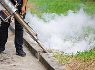 Key Words: mosquito bites remedies