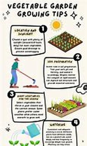 Equipments Youll Need for a More Productive Greenhouse