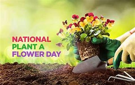 Planting and Caring for Flower Bulbs