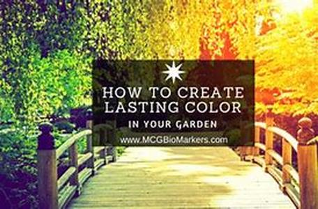Create A Garden And Patio Design To Enjoy Year-Round