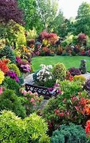Hello From Orlando - Central Florida's Parks And Gardens Offer An Abundance Of Colours, Shapes, And Textures