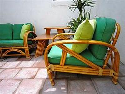 Deterring Birds From Your Home