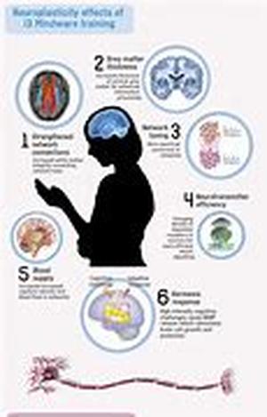 What Is Emotional Intelligence