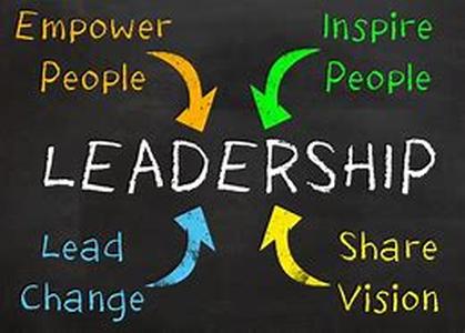 A Good Leader Knows The Teams Colours