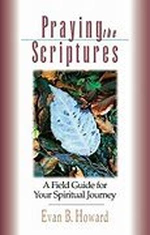Spirituality Information - Journey In The Fields Of Forever ( Part 30 )