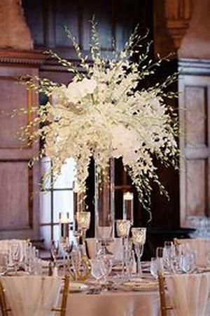 Wedding - Celebrating That Special Occasion
