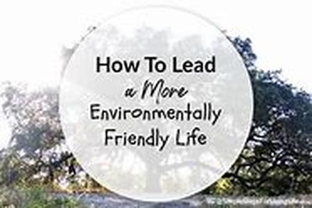Silent Dating: The Zen Path to Love