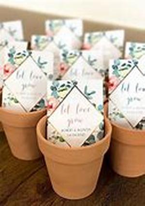 Wedding Favors  Inexpensive And Elegant