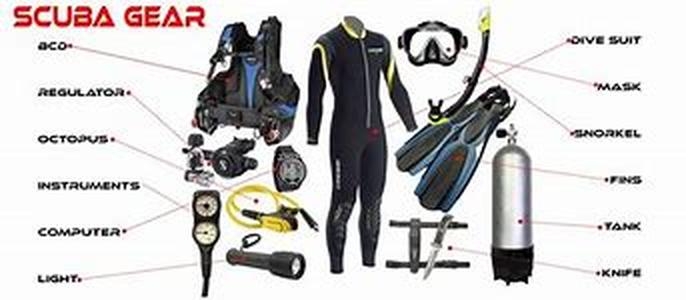 Scuba Diver Escaped Shark Attack In Australia