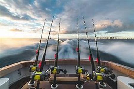 Fishing Forum: The Fishing Connection That Enlightens Pros And The Novice
