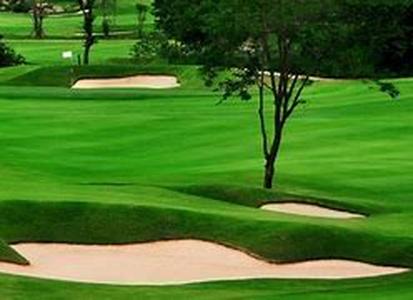 Golf Exercise And Stretch Program For Total Golf Performance
