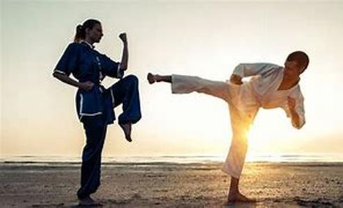 Martial Arts Home Training - The Tools For Perfection
