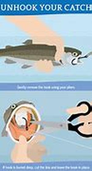How To Prepare For A Camping Trip