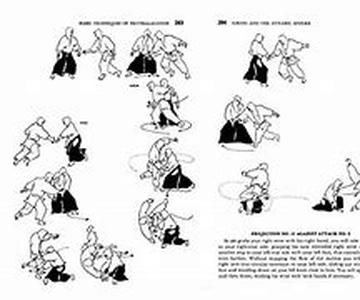 Fundamentals of aikido