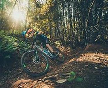Mountain Bike Tires - How Important Are They