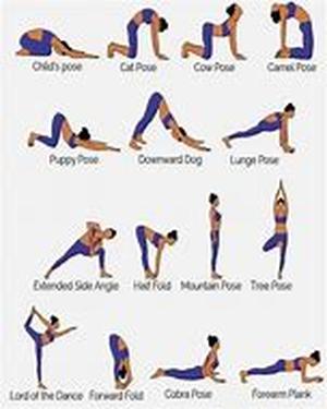 Yoga Certification Videos