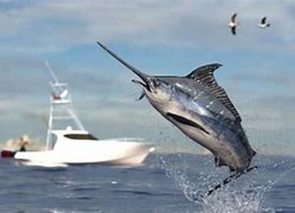 Fishing Fun: Head North To Canada
