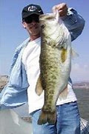 Make a Christmas card Inspired from Bass Fishing
