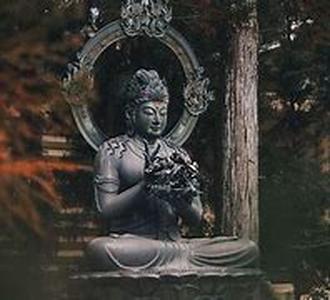 Yoga Pants  In the market today, there are a lot of companies that produce bottoms fitting for the execution of the primordial religious practice from