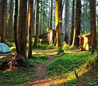 Camping At California State Beaches