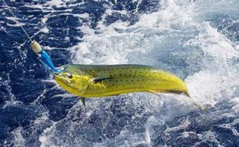 Fishing Adventures In Canada