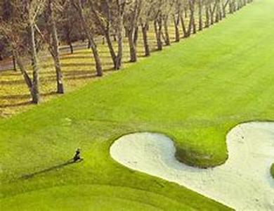 The Ideal Golf Outing