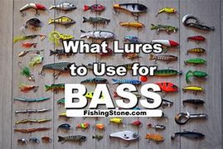 Bass Fishing - Bigger The Knowledge The BIGGER The FISH
