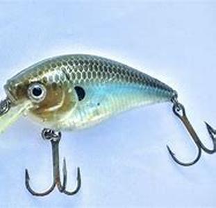 Have Your Best Shot in Bass Fishing Game Online