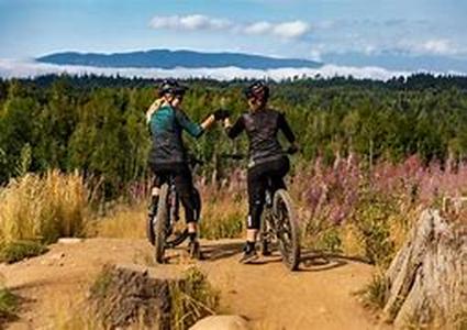 Mountain Bike Suspension  Information And Tips