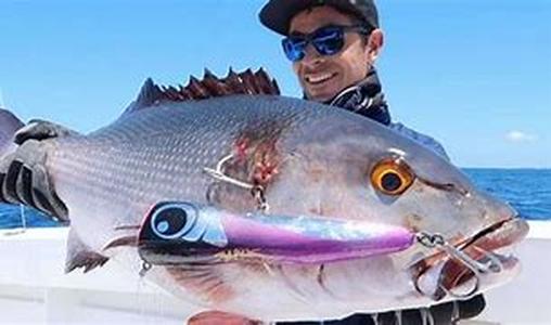 Fishing Finicky Walleyes