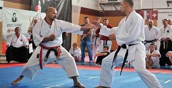 Karate Sparring
