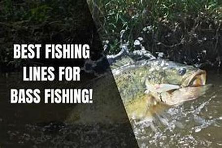 Fishing Swordfish Without Killing