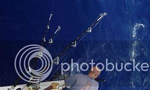 Catamarans Shopping