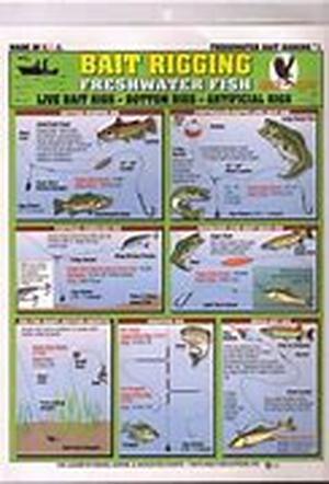 Whats Hot with Bass Fishing