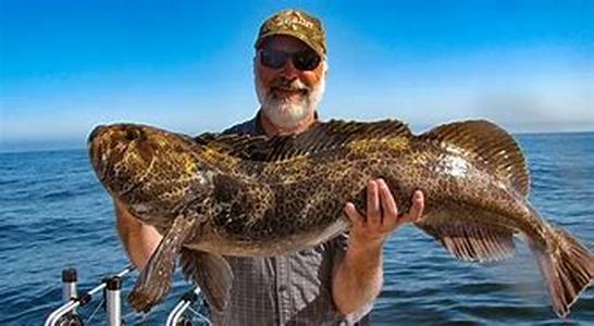 Fishing Adventures In Northern Ontario