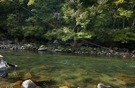 Tips To Make Your Camp Fire Roar