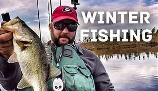 Bass Fishing In The Florida Everglades