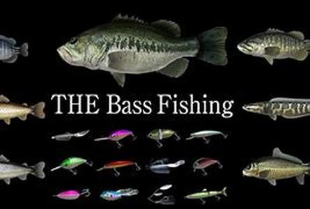 Bass Fishing for fun