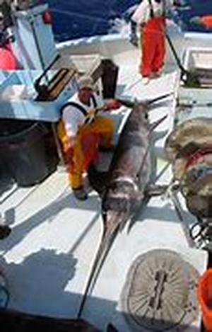 Fishing Gear For Your Next Trip