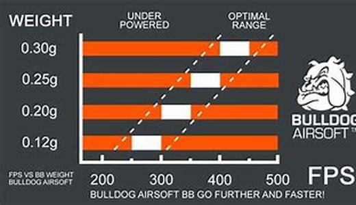 Chicago Bears 2006 Preview