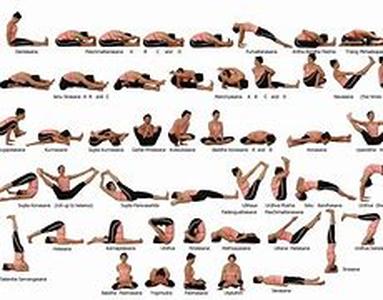 Yoga Clothing  Overview Have you ever reached the point of converging fashion with exercise