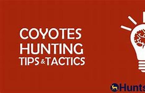 Tips For Choosing A Knife For Various Outdoor Sports, Part 1