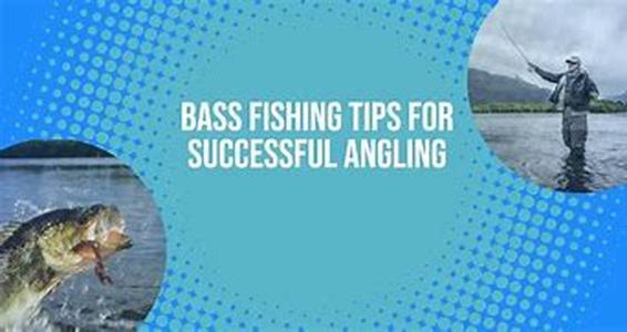 Bass fishing reports to the rescue